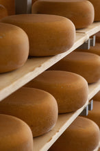 Load image into Gallery viewer, Reserve 5 Brothers - 18 months old